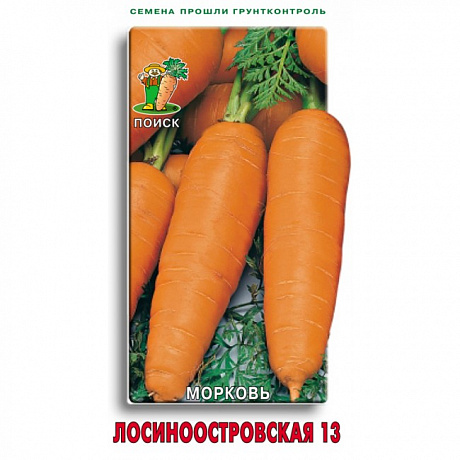 Морковь Лосиноостровская 13 фото Морковь Лосиноостровская 13 